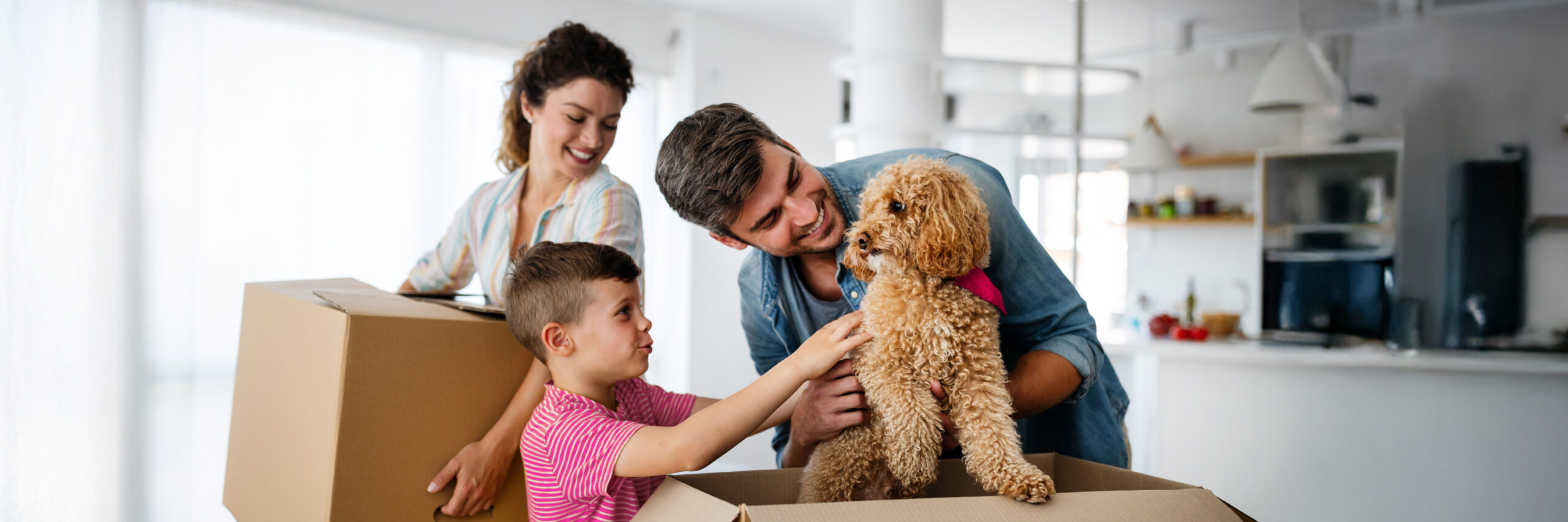 A family with a dog unpacking boxes in a modern kitchen.